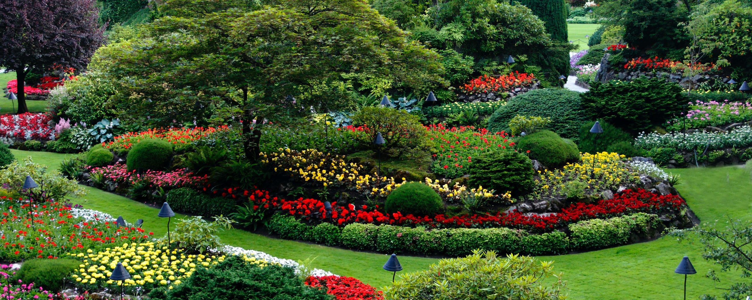 Vibrant and colorful outdoor garden flower area